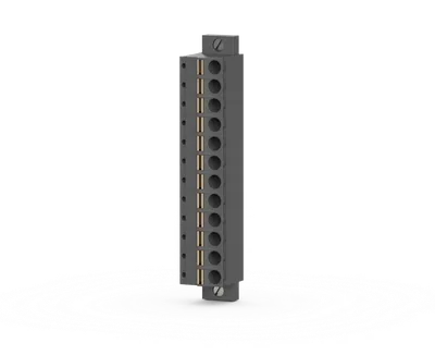 12-Point Spring TB 12-Point Spring-Type Terminal Block