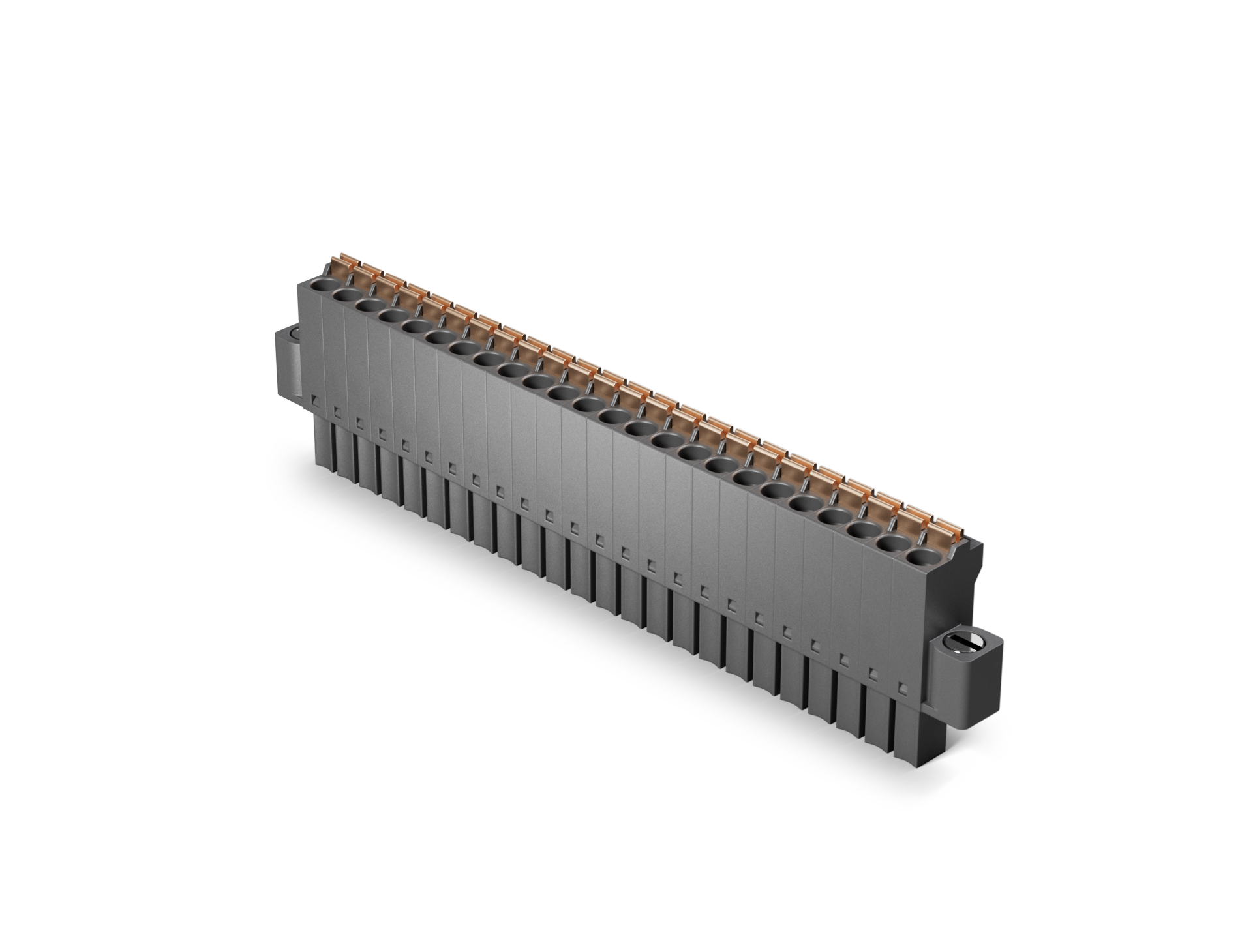 24-Point Spring TB 24-Point Spring-Type Terminal Block