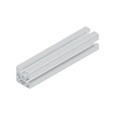 STRUT PROFILE 40X40L 2NVS L=6170