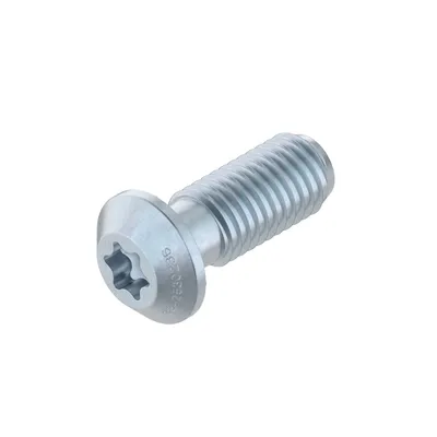 SCREW S12X30-T50
