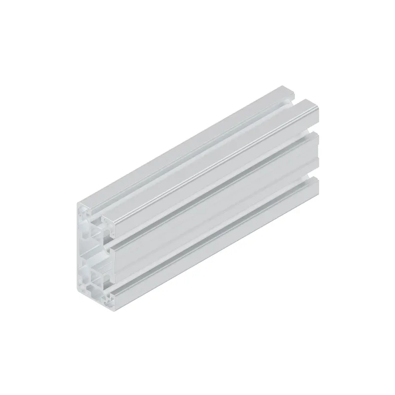 STRUT PROFILE 40X80L 3NVS L=6170 — photo 2 of 3