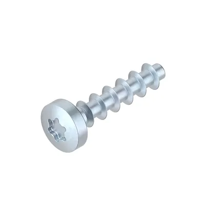 Bosch Rexroth 3842552422 – OVAL-HEAD SCREW W1452-4X18-10.9-T20 Bosch Rexroth 3842552422 – OVAL-HEAD SCREW W1452-4X18-10.9-T20