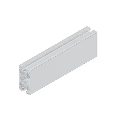 STRUT PROFILE 40X80L 2N 12X6070MM