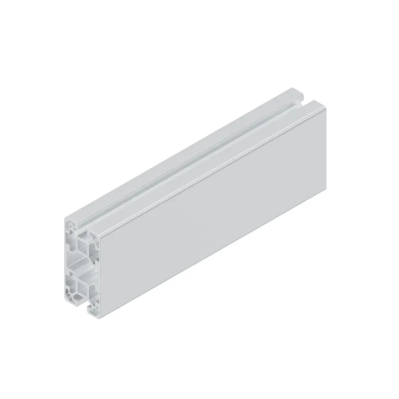 STRUT PROFILE 40X80L 2N 12X6070MM — photo 1 of 3