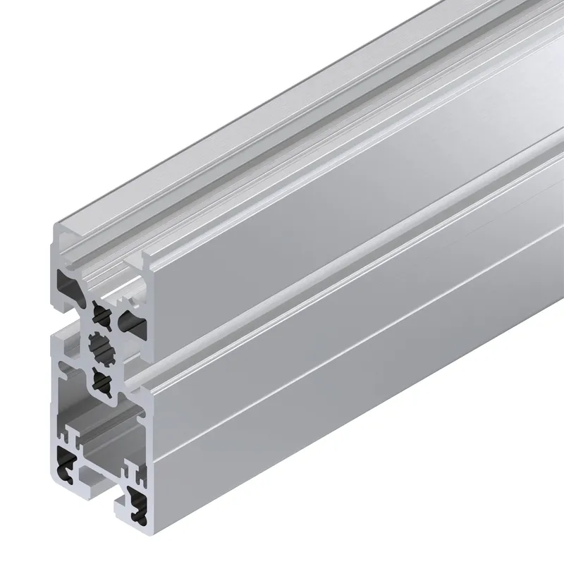 SECTION PROFILE SP 2/R-100 12X6070MM