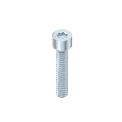 SCREW S6X30 PG