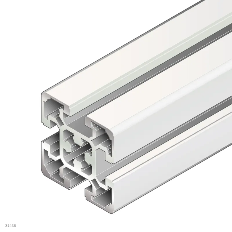 STRUT PROFILE 50X50L M12/- — photo 1 of 3