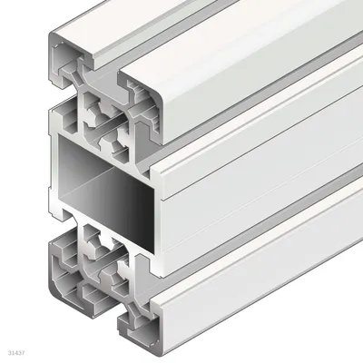 STRUT PROFILE 50X100L M12/-
