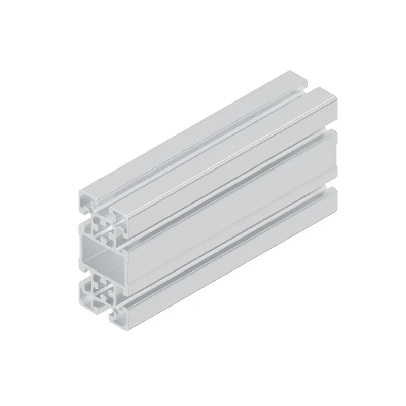 STRUT PROFILE 50X100L D17V/D17V — photo 2 of 3