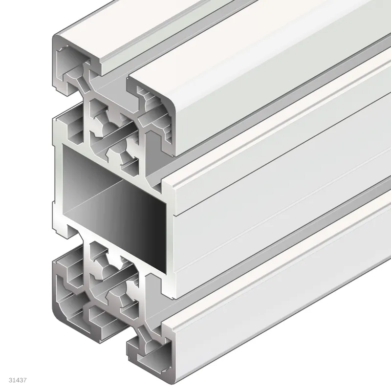 STRUT PROFILE 50X100L D17V/D17V — photo 1 of 3