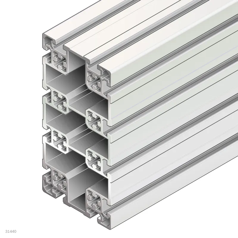 STRUT PROFILE 100X200L          Q&E — photo 1 of 4