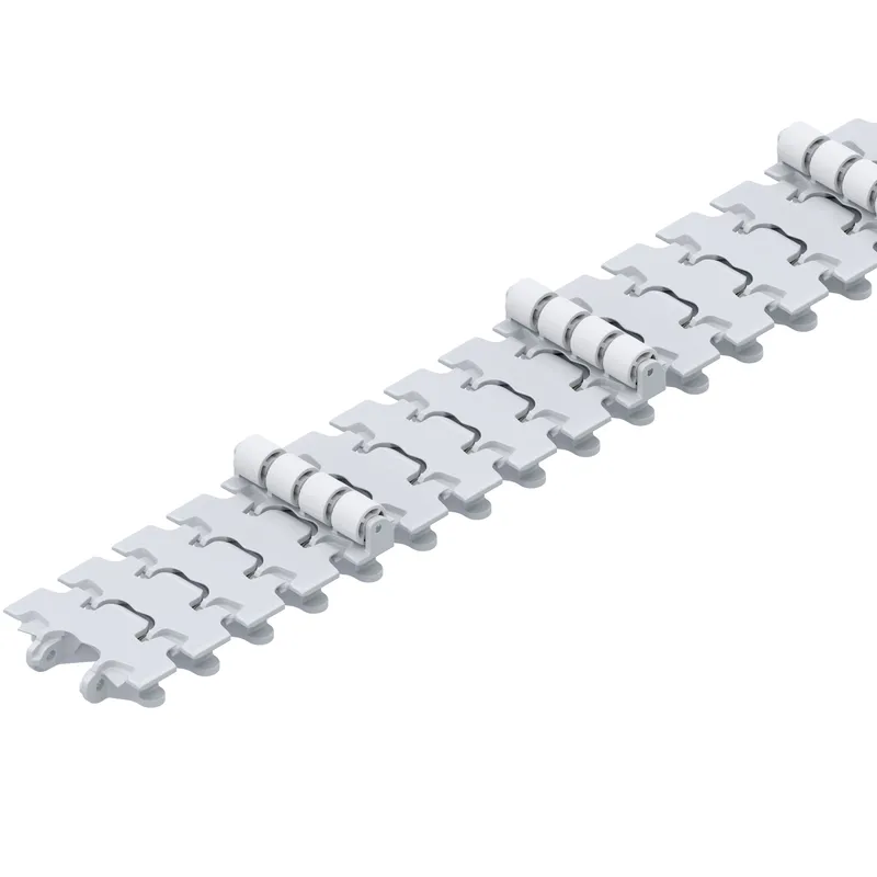 CONVEYOR CHAIN 90+CLEATD20 L2898 VAR — photo 2 of 3