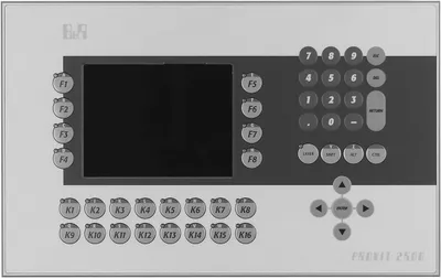 B&R 5D2519.01 – Panel LCD B/W; QVGA; 5.7 in; F