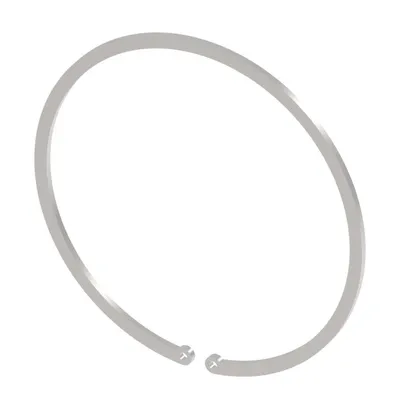 INTERNAL SNAP RING