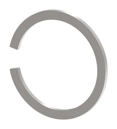 INTERNAL SNAP RING