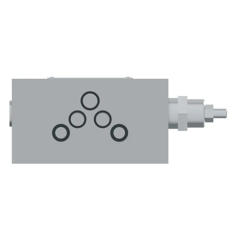 DGMX2-5-PA-BW-E-B-30, DGMX25PABWEB30 — photo 2 of 4