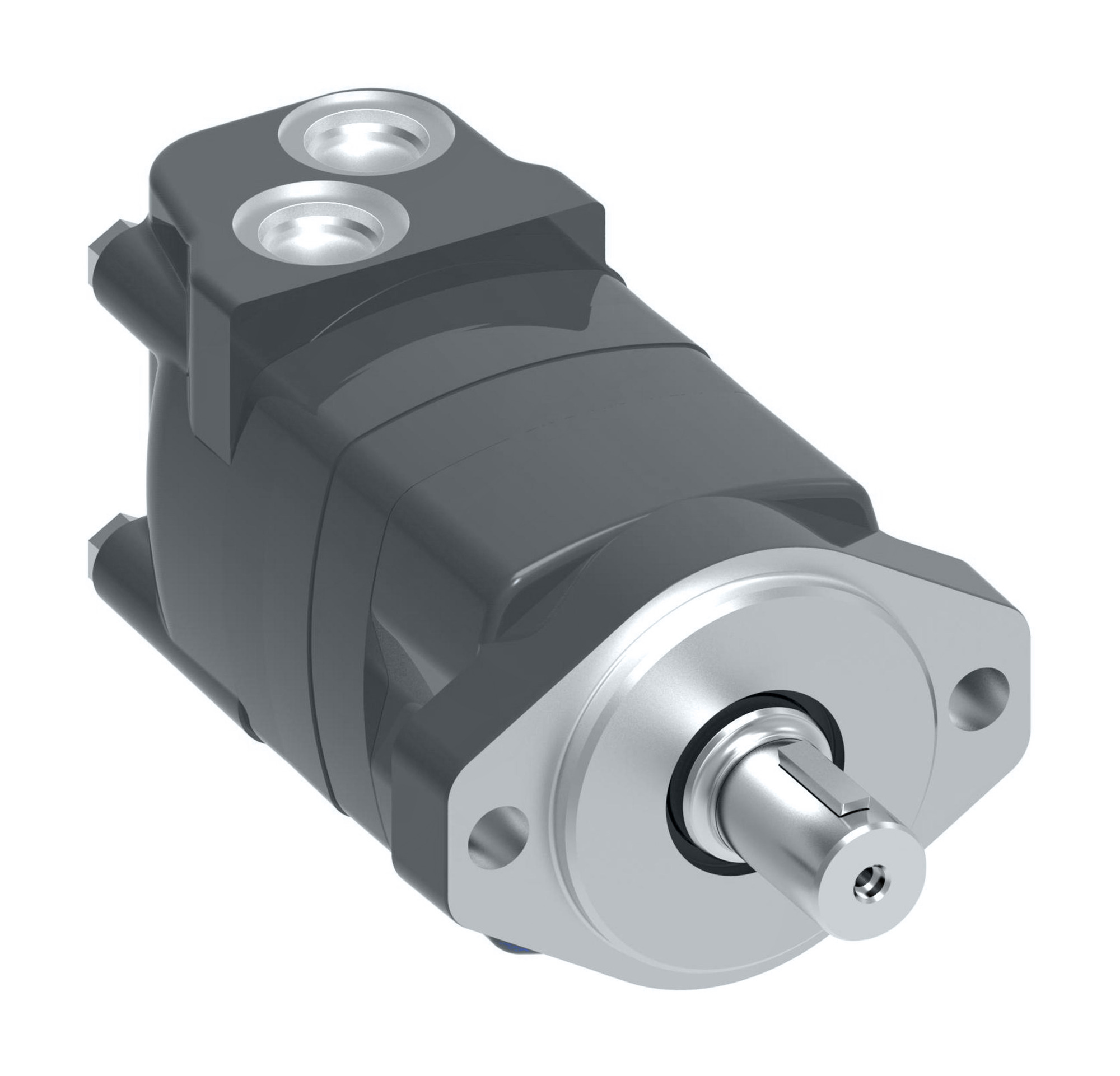 MOTOR-ORBITAL,2000 SERIES 160 [9.6], M02096AH02AA0100010000000AAAAF — photo 4 of 6