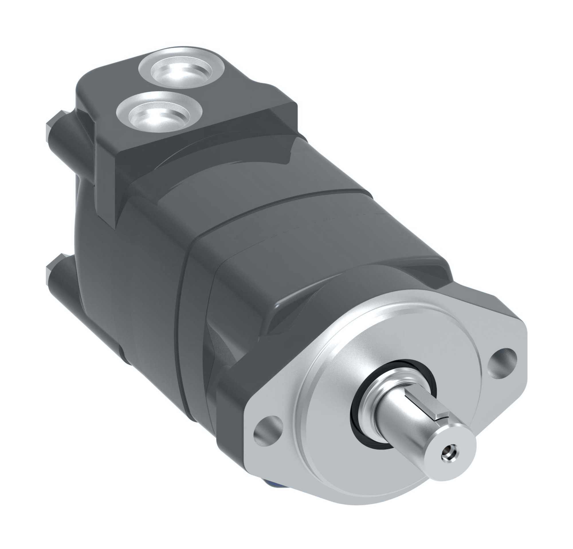 MOTOR-ORBITAL,2000 SERIES 160 [9.6], M02096AC01AA0100010000000BJAAF — photo 2 of 6
