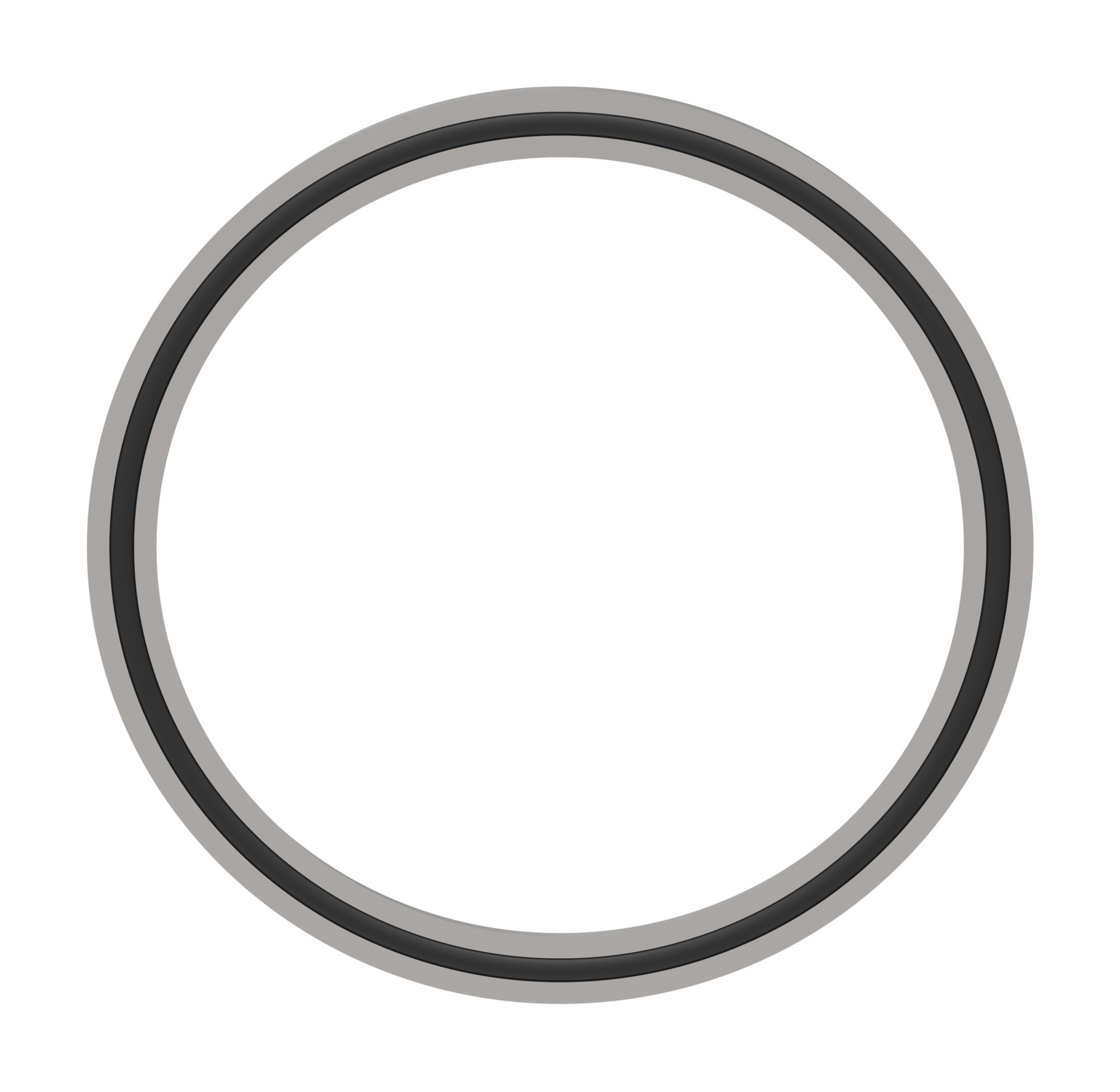 PISTON SEAL W MOTOR BRAKE — photo 2 of 3