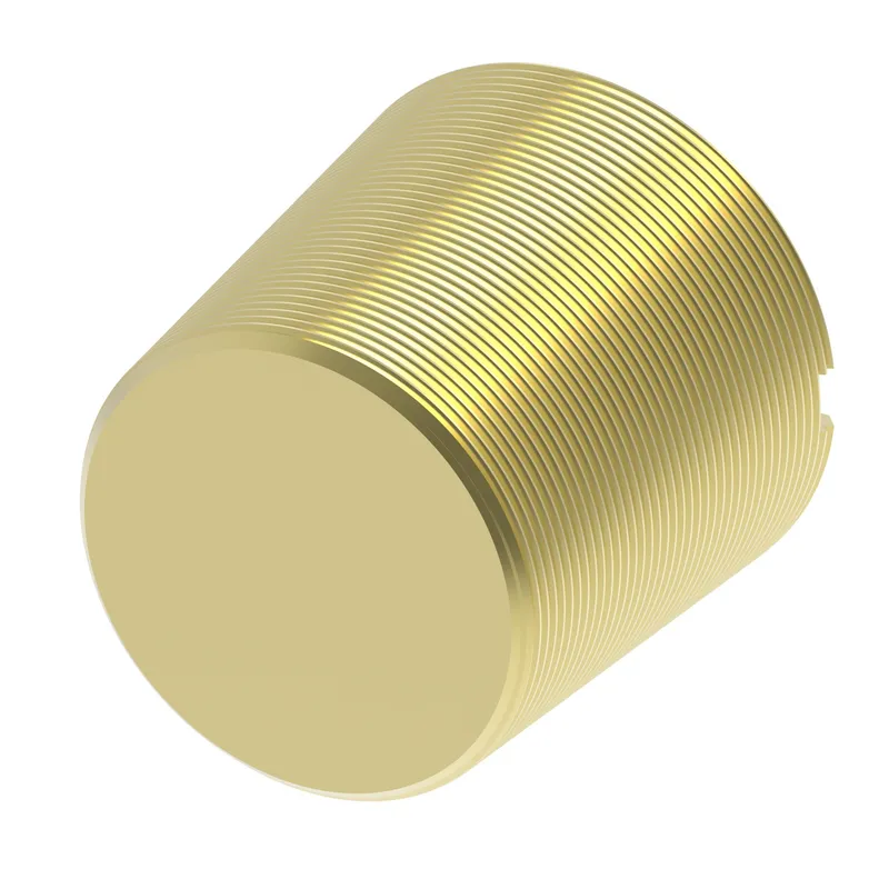 ADAPTER BRASS PIPE PLUG SLOTTED HEAD — photo 1 of 3