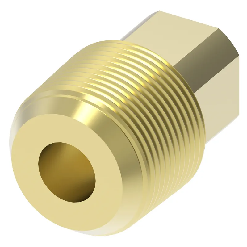 ADAPTER BRASS PIPE PLUG — photo 1 of 3