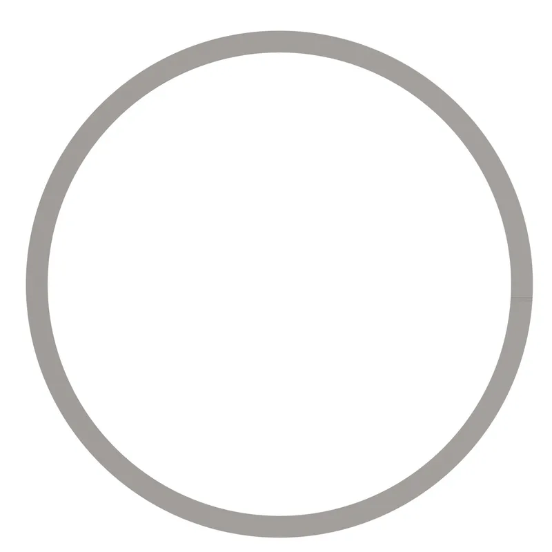 PISTON SEAL — photo 2 of 3