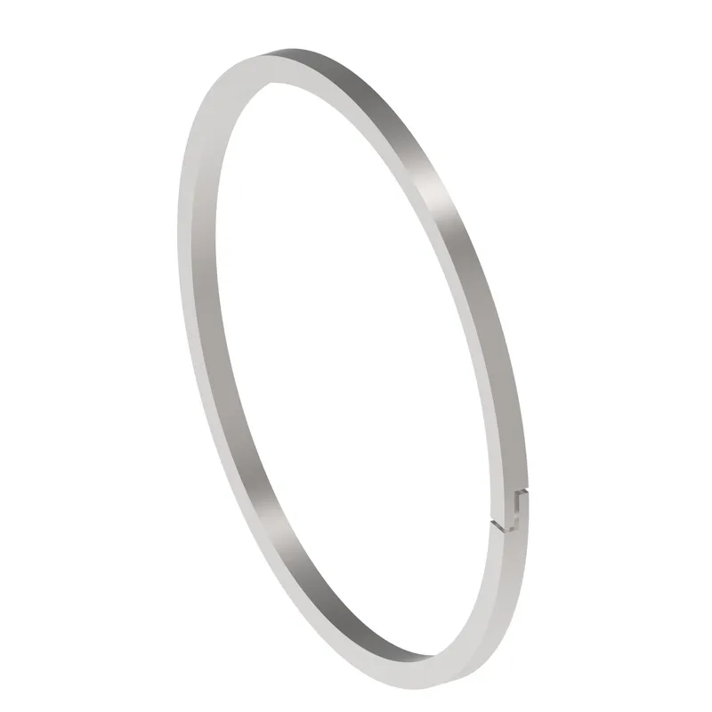 PISTON SEAL — photo 3 of 3