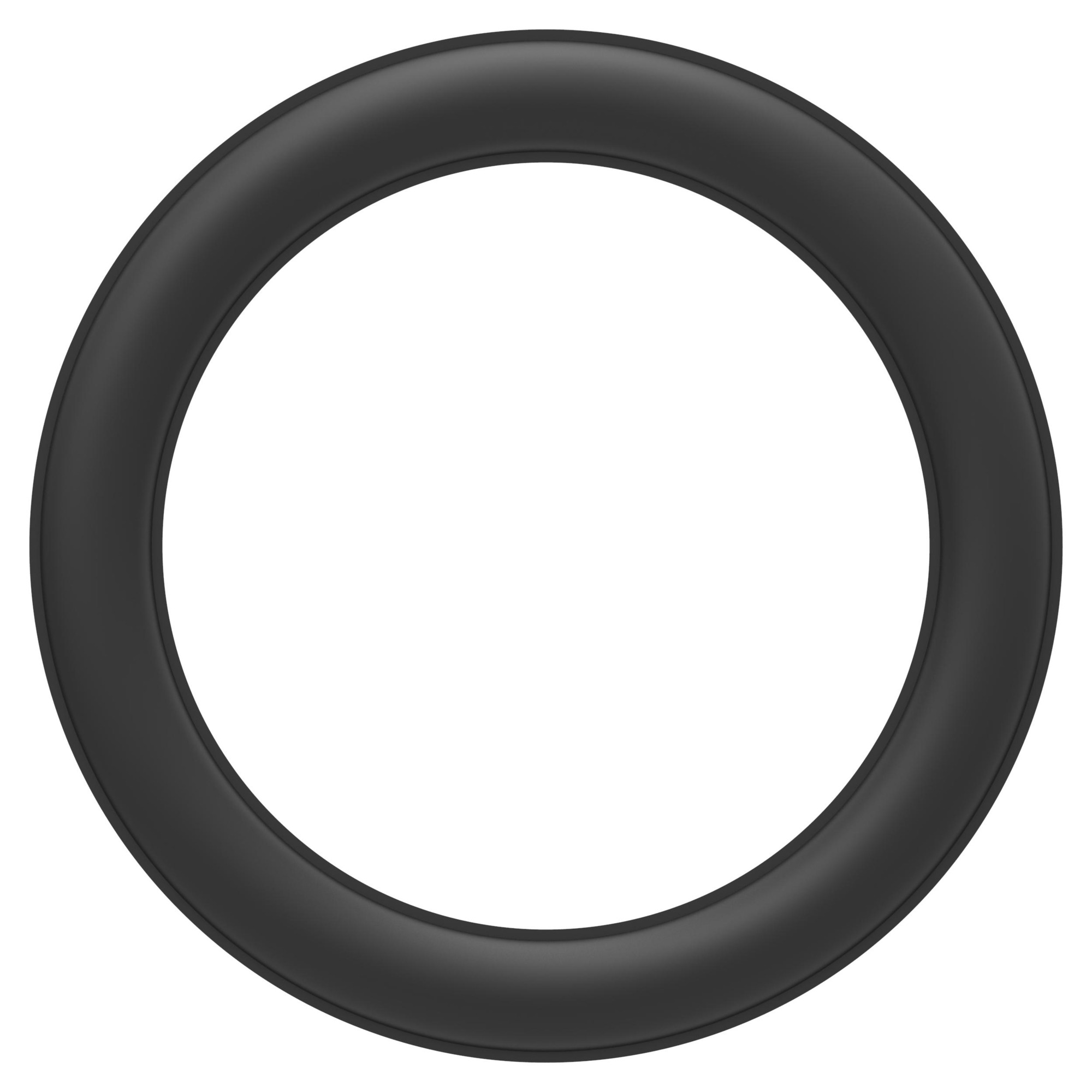 O-RING — photo 3 of 3