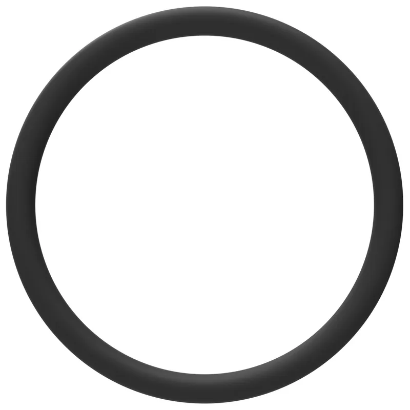 O-RING — photo 2 of 3