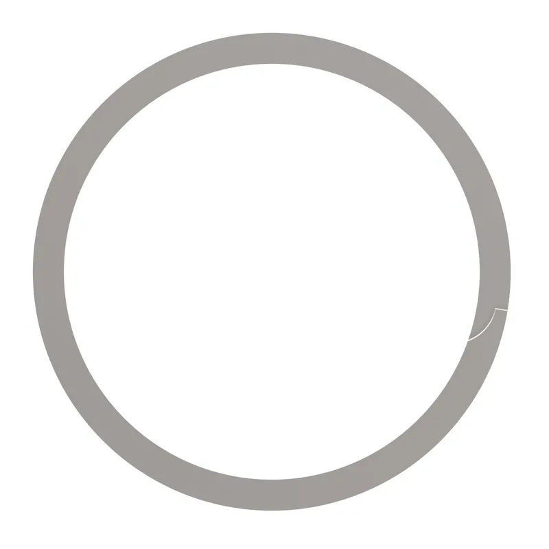 SNAP RING — photo 2 of 3