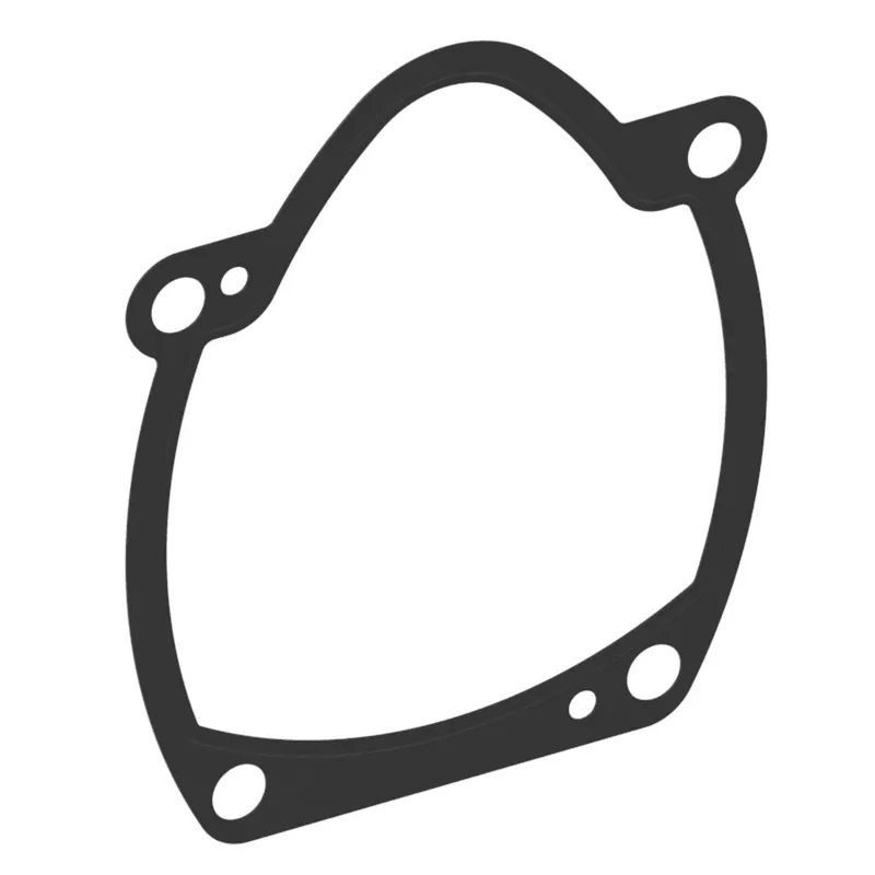 Gasket, Flange - PVM45 — photo 1 of 3