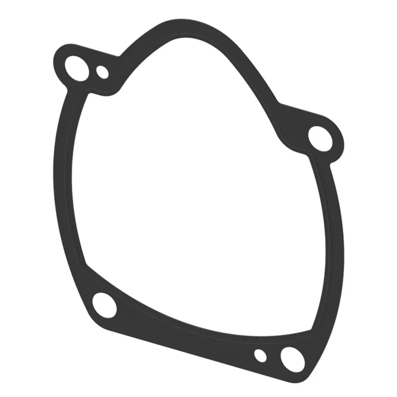 Gasket, Flange - PVM45 — photo 2 of 3
