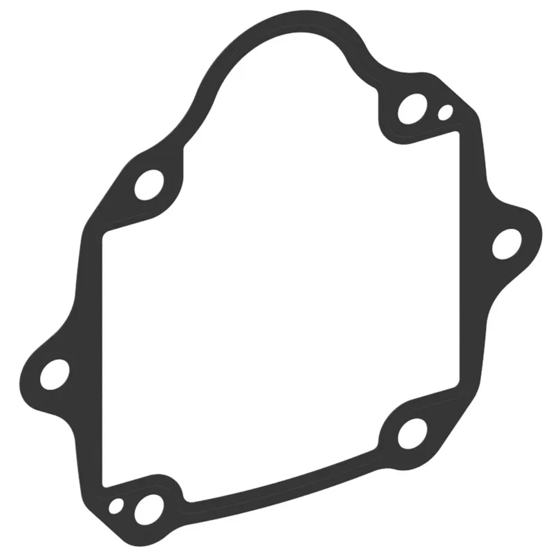 Gasket, Flange - PVM98 — photo 1 of 3