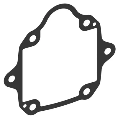 Gasket, Flange - PVM74