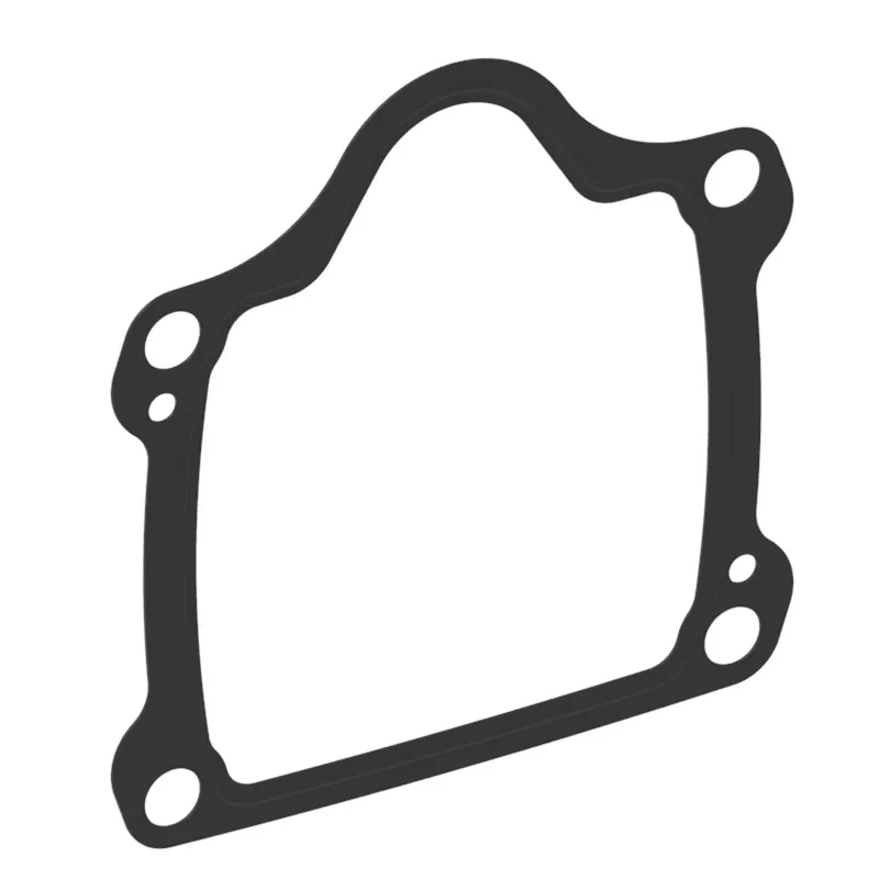 Gasket, Flange -PVM18/20 — photo 1 of 3