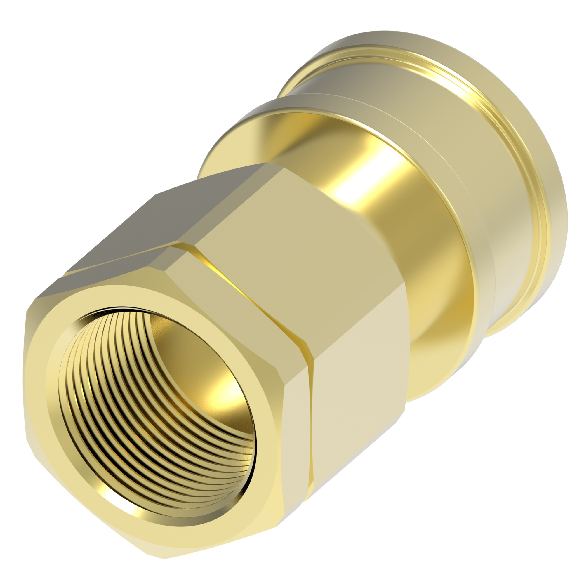 Cplng, HK SERIES FEMALE, BRASS — photo 1 of 3