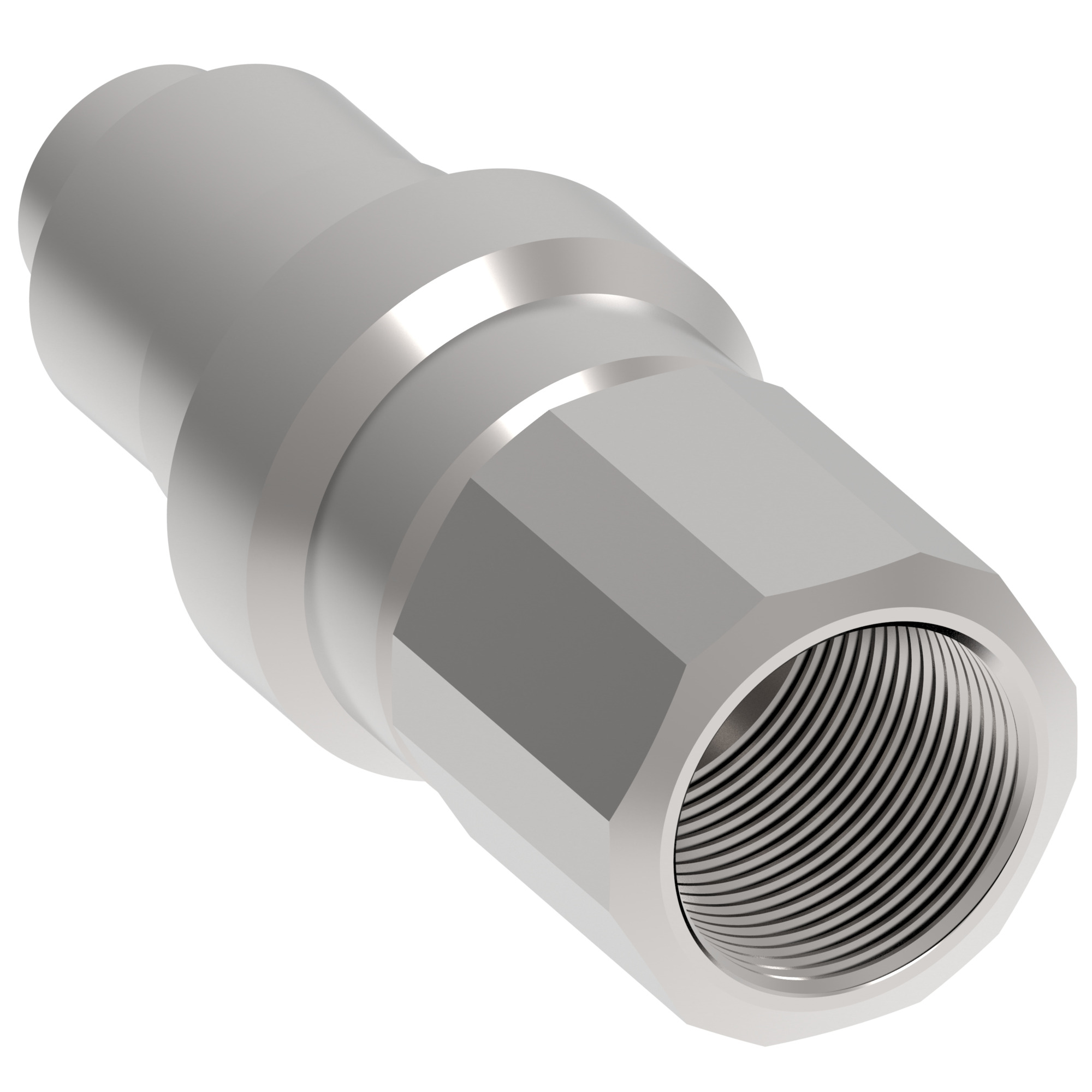 COUPLING,FD96,M,1/2,CS,-8NPT,NBR — photo 3 of 3