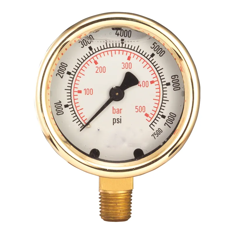 MISC Pressure Gauge, 0 - 1,000 PSI — photo 2 of 2