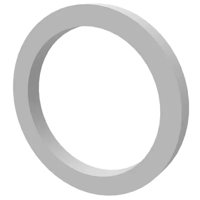 BACK-UP RING