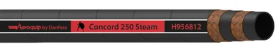 HOSE-BOS, H9568, -8, STEAM, RD, 50FT