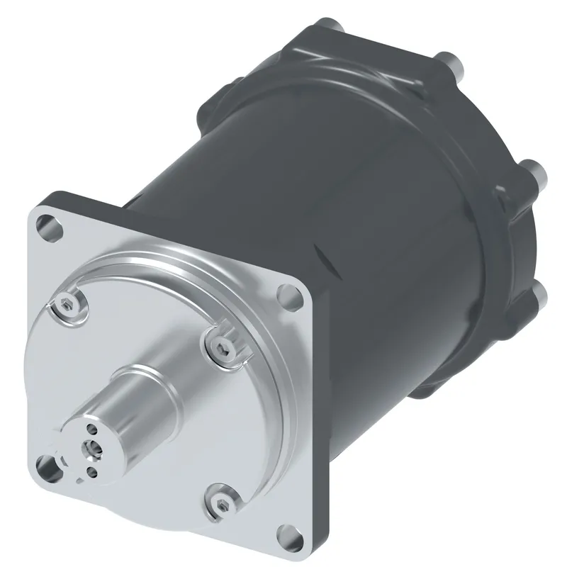 DOWMAX MOTOR — photo 1 of 6