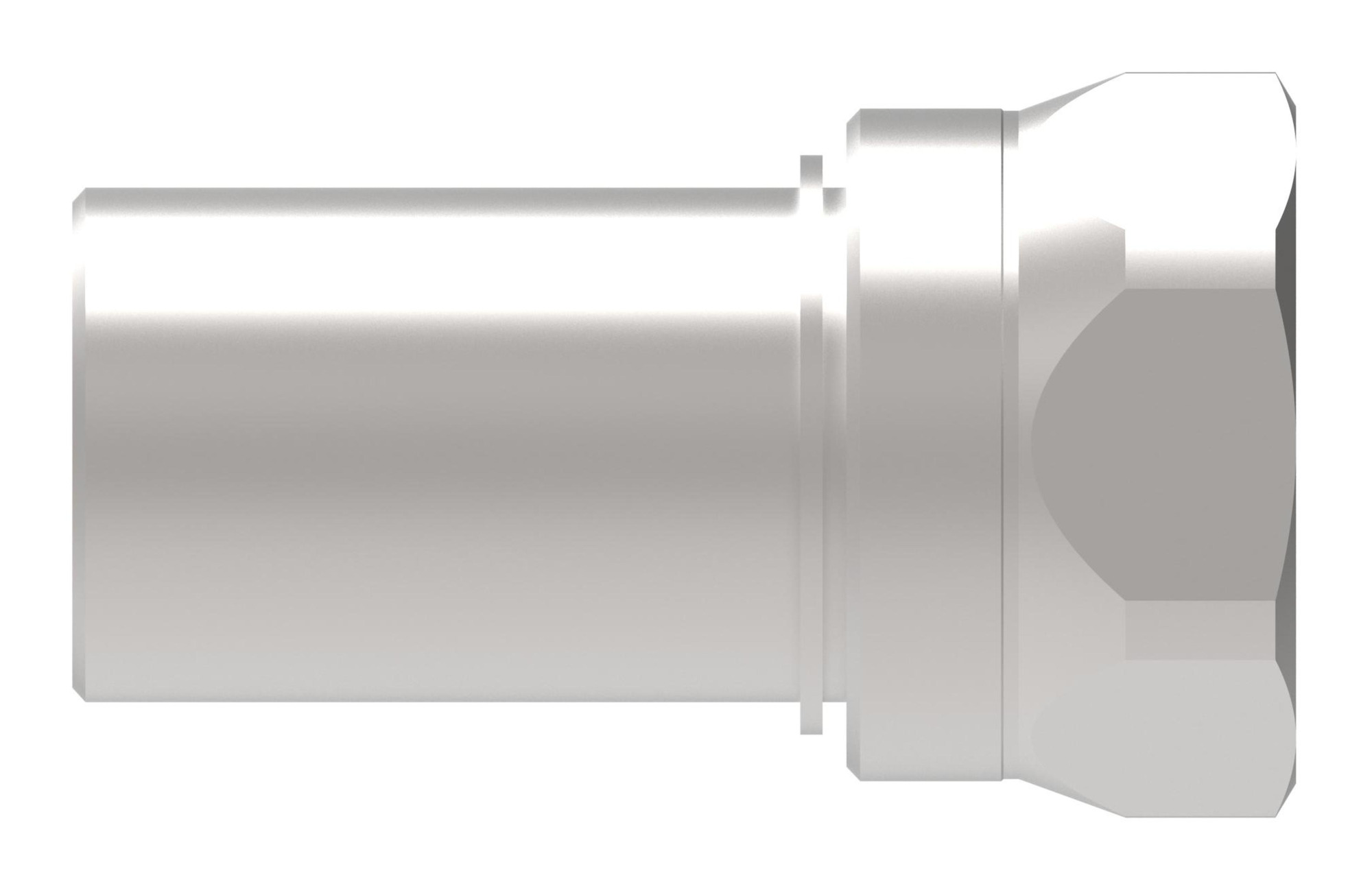 COUPLING,W6000,F,1/4,SS,-4NPT,FKM — photo 3 of 3