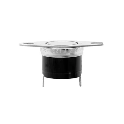2450RG 84210016 THERMAL-COMMERCIAL Thermal