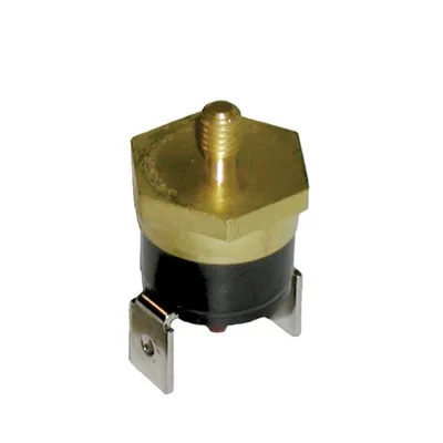 3455RMG04780045 Precision Thermostat