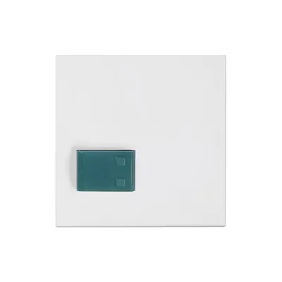 88881H3N 88881H3N Cover Plate with Button (Green)