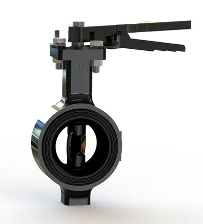 BFH-IMP-PN16-100S Manual Butterfly Valves SS Disc