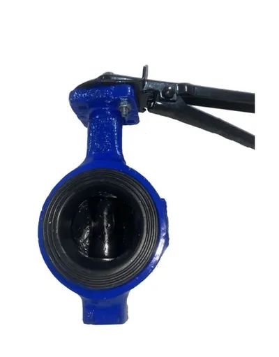 BS-HWC4PN16-125100 Manual Butterfly Valve with Extended Stem