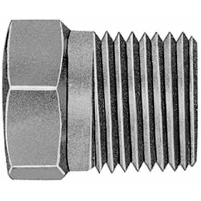 CCT1705T/U Brass Hex Head Plugs
