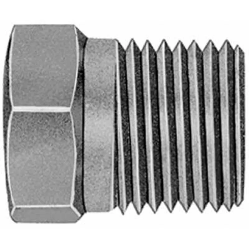 CCT1705T/U Brass Hex Head Plugs