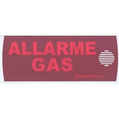P-AG PAN Series Signaler with the words "ALLARME GAS"